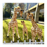 Custom 2M Realistic Giraffe Stuffed Toys Huge Size Jungle Forest Simulation Animals Made of Cotton with PP Filling Gift
